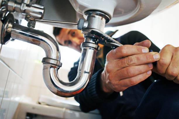 Best Local Plumber Services  in Lake Alfred, FL