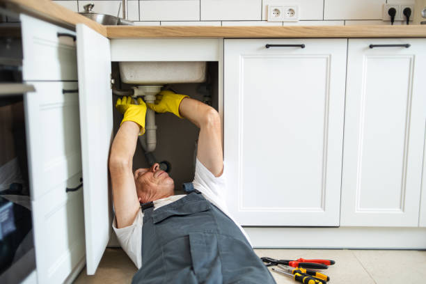 Best Same-Day Plumbing Service  in Lake Alfred, FL